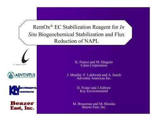 RemOxÂ® EC Stabilization Reagent for In Situ Biogeochemical - IPEC