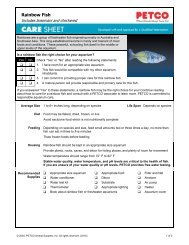 mosquito fish petco