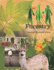 Church Leaders Guide(forestry) - National Association of ...