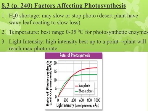 Chapter 8 Photosynthesis 2011.pdf