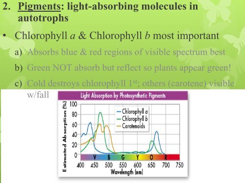 Chapter 8 Photosynthesis 2011.pdf