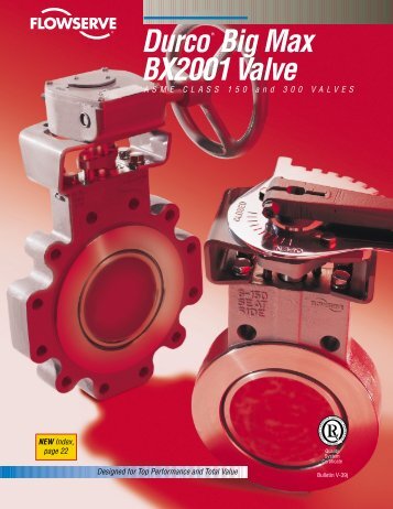 Durco Big Max BX2001 Valve - Instruval