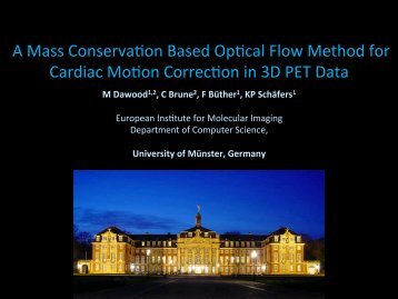 A mass conservation based optical flow method ... - Christoph Brune