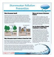 Stormwater Pollution Prevention newspaper insert - CNY RPDB Home