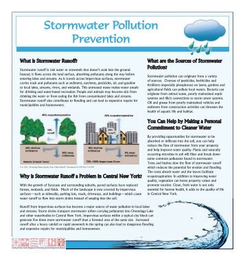 Stormwater Pollution Prevention newspaper insert - CNY RPDB Home