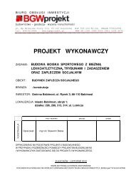 Projekt wykonawczy konstrukcja