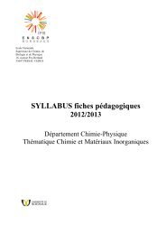 Programmes Ingénieur Chimie Physique - enscbp