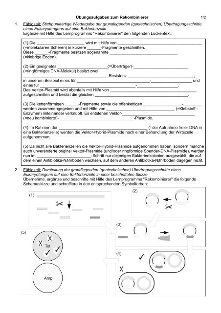 Ãbungsaufgaben zum Rekombinierer - Biologie Lernprogramme