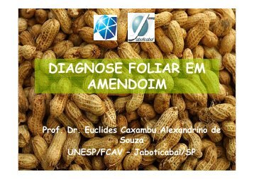 DIAGNOSE FOLIAR EM AMENDOIM - Nutricao de Plantas