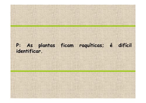 DIAGNOSE FOLIAR EM AMENDOIM - Nutricao de Plantas