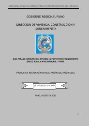 gobierno regional puno direccion de vivienda, construccion y ...