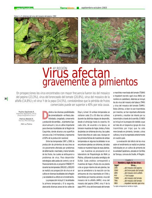 Virus afectan gravemente a pimientos - Platina - INIA