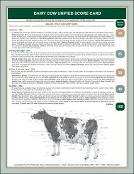 DAIRY COW UNIFIED SCORE CARD