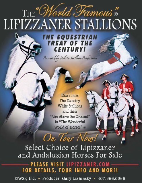 Fall 2007 - United States Lipizzan Federation