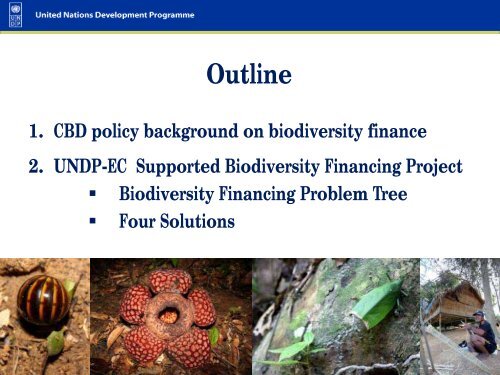 BIODIVERSITY FINANCE - NRE