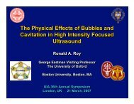 The Physical Effects of Bubbles and Cavitation in High Intensity ...