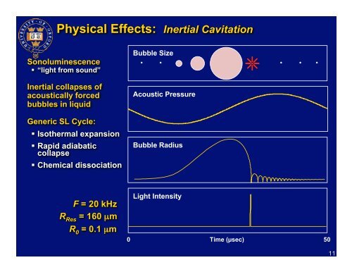 The Physical Effects of Bubbles and Cavitation in High Intensity ...