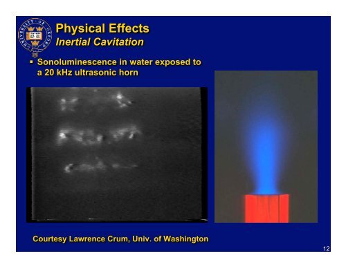 The Physical Effects of Bubbles and Cavitation in High Intensity ...