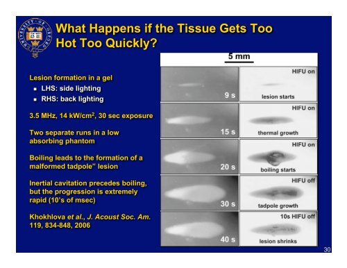 The Physical Effects of Bubbles and Cavitation in High Intensity ...