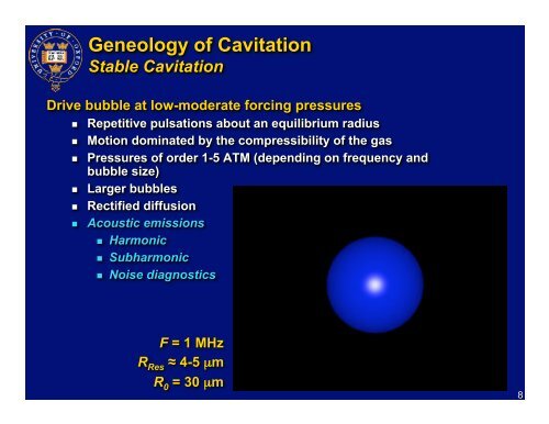 The Physical Effects of Bubbles and Cavitation in High Intensity ...