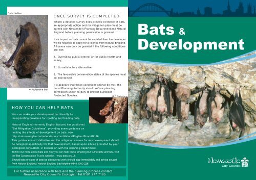 HOW YOU CAN HELP BATS - Newcastle City Council