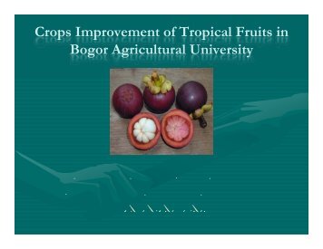 Crops Improvement of Tropical Fruits in Bogor Agricultural University