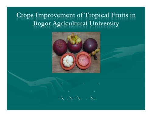 Crops Improvement of Tropical Fruits in Bogor Agricultural University