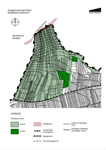 Ausgleichskonzept Wald Teil 2 - Geonline GmbH