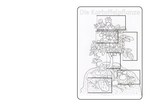 Lapbook Klappenbuch mit LÃ¼ckentext - Abenteuer Inklusion