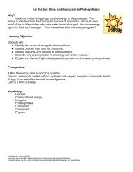 Intro Photosynthesis-POGIL - Campbell County Schools