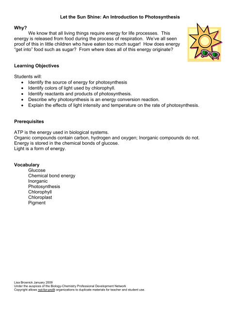 Intro Photosynthesis-POGIL - Campbell County Schools