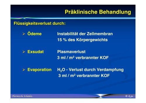 Thermische SchÃ¤den