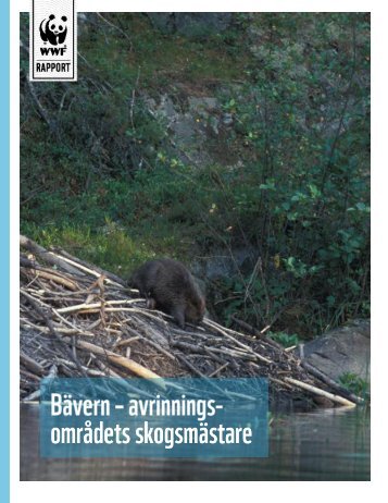 BÃƒÂ¤vern - en nyckelart - VÃƒÂ¤rldsnaturfonden WWF