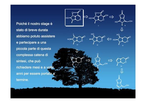 Presentazione delle studentesse