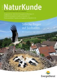 NaturKunde Ausgabe 2-13 - EnergieDienst AG