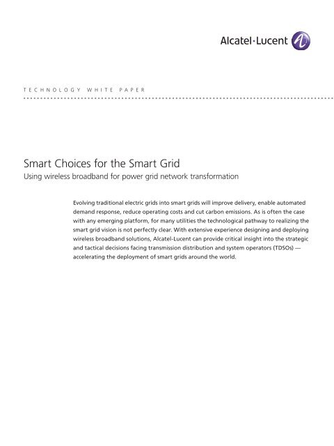 Smart Choices for the Smart Grid - Smart Grids
