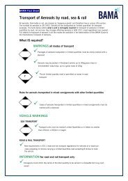 Transport of Aerosols by road, sea & rail - British Aerosol ...