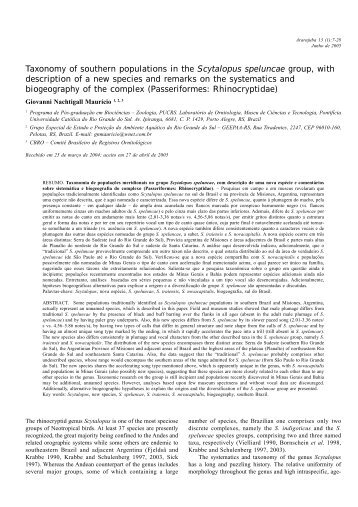 Taxonomy of southern populations in the Scytalopus speluncae ...