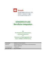 Sonderrichtlinie Berufliche Integration - Bundesministerium fÃ¼r ...