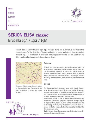 SERION ELISA classic Brucella IgA / IgG / IgM