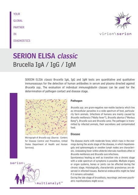 SERION ELISA classic Brucella IgA / IgG / IgM