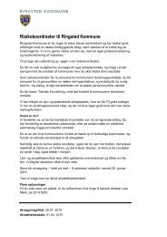 Risikokoordinator til Ringsted Kommune - primo