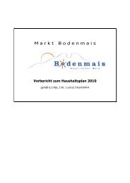 Vorbericht zum Haushaltsplan 2010 - Bodenmais