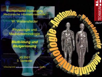 W. Weitensfelder Physiologie und Medizinterminologie Blutbildung ...