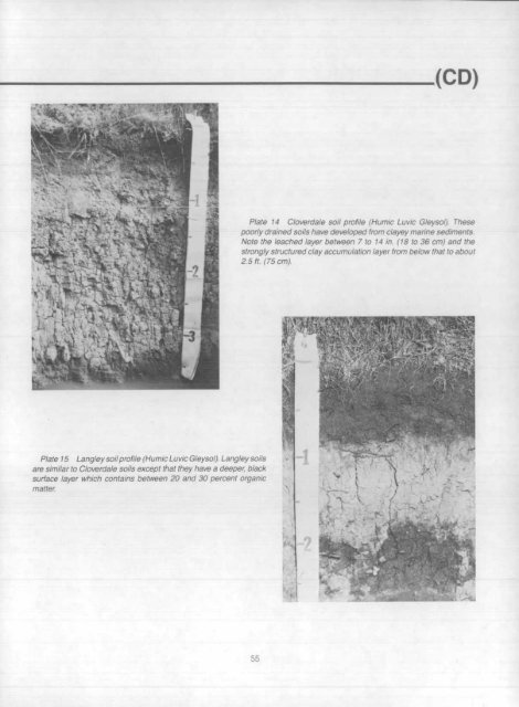 Soils of the - Agriculture and Agri-Food Canada