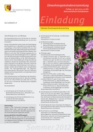 Einladung (PDF) - Gemeinde Rudolfstetten