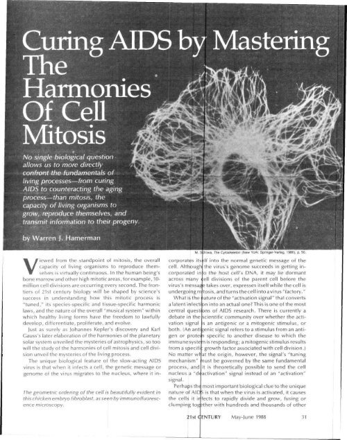 The Geometry The Nucleus