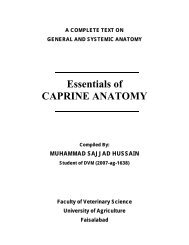 Essentials of CAPRINE ANATOMY - UMK CARNIVORES 3