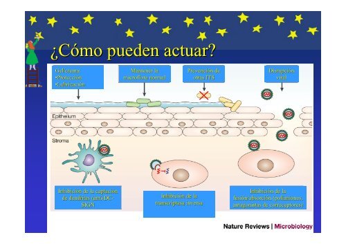 Cremas, sexo y sida - Sida Studi