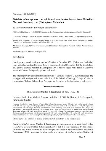 Mylabris paper Dec 2011.cwk (WP) - Calodema